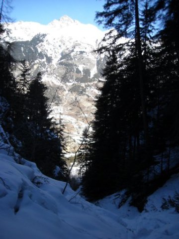 La Norma